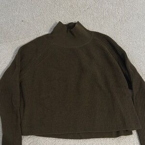 Eileen Fisher Brown Turtleneck cropped Sweater